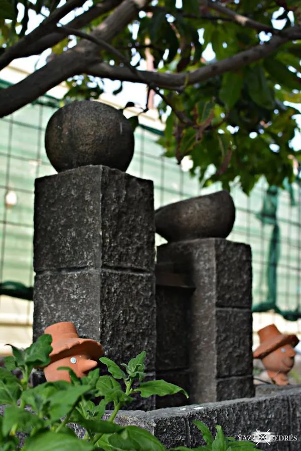 Casas Cueva Alfer Villa Fasnia
